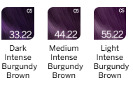 REVLON PROFESSIONAL REVLONISSIMO COLORSMETIQUE PURPLE 60ML